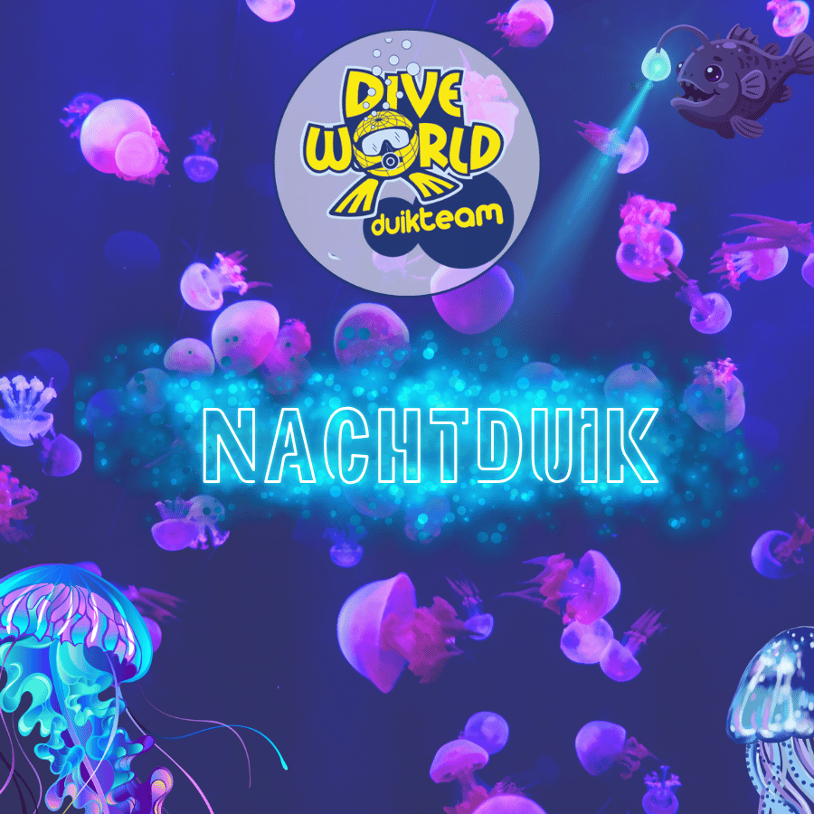 dw-duikteam-avond-20-november