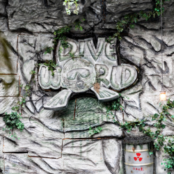 Duikmedische keuring 13 juni